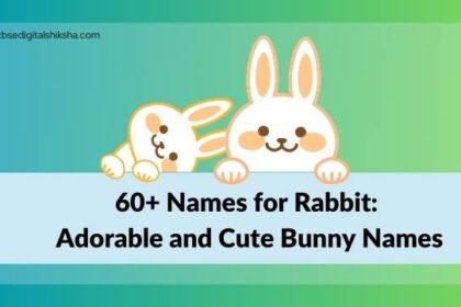 60+ Names for Rabbit: Bunny Names